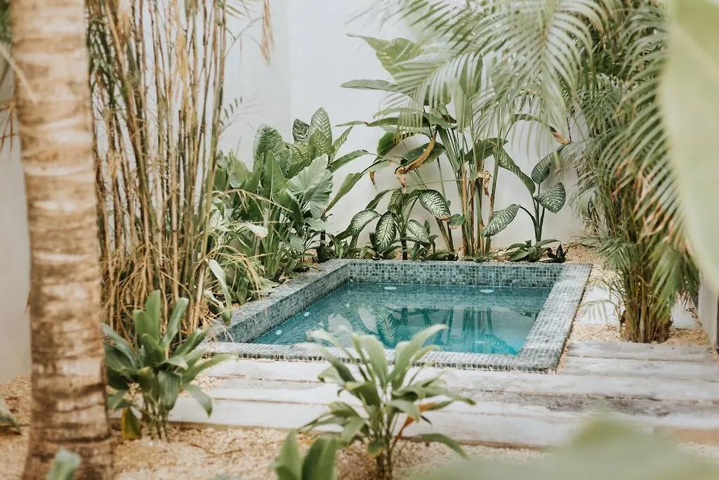 Villa Tuuk: Luxury 5-Bedroom Villa with Private Pool and Concierge Tulum 0*,